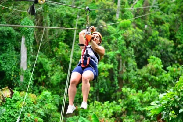 Zip Line