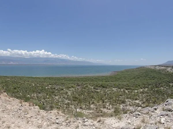 Oviedo Lagoon and Flamingo