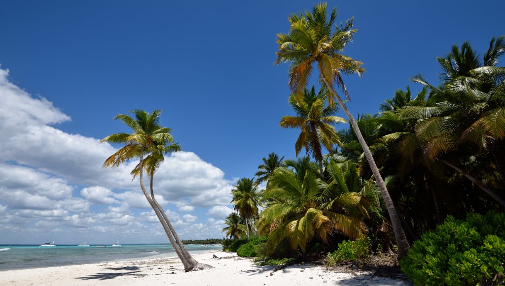Excursion saona chavon