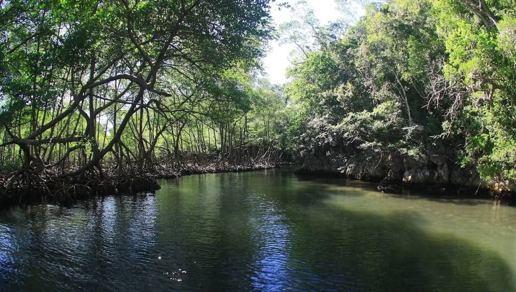 Samana trip in Dominican Republic