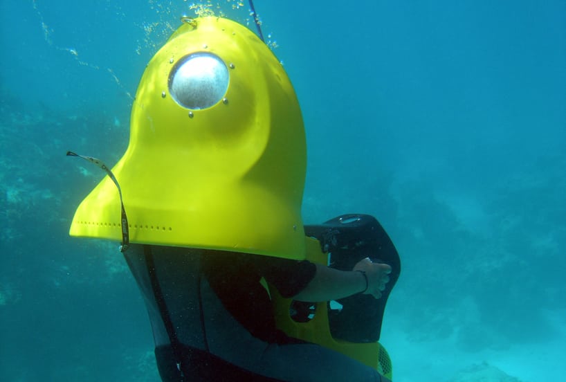 Scubadoo cabeza de toro punta cana