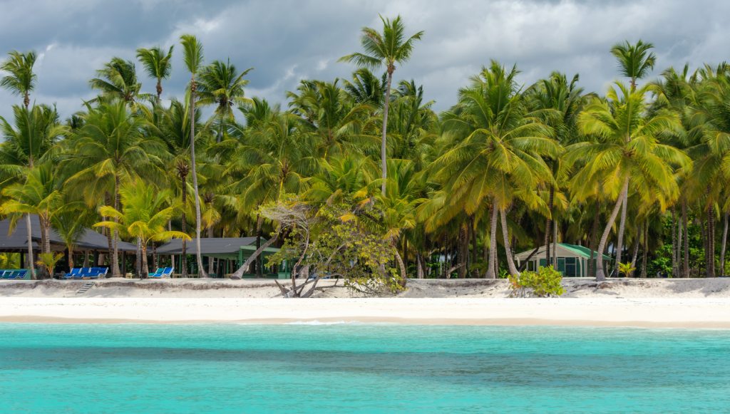 Tour saona island with chavón