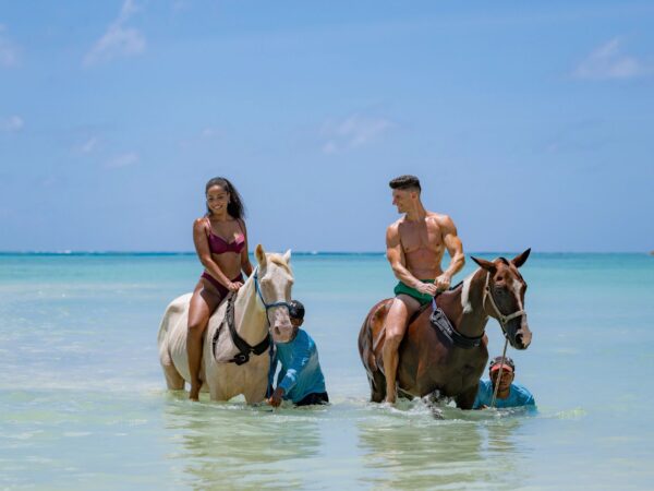 Horseback Riding & Transportation